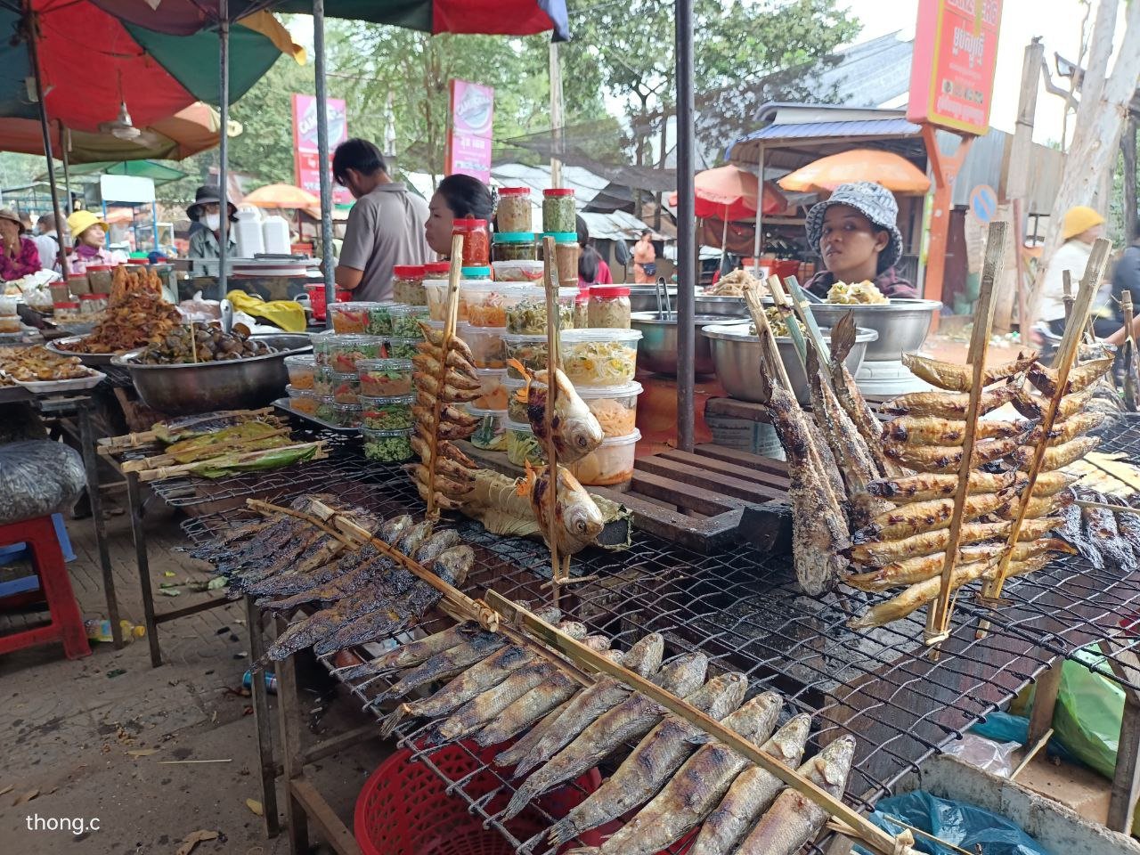 Phnom Penh to Kirirom National Park: E-Bike, Hike & Ecotourism Adventure